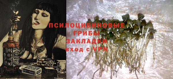 дмт Киреевск