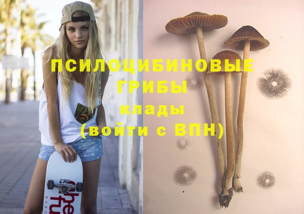 амф Кинешма