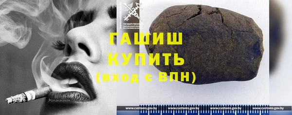 индика Весьегонск